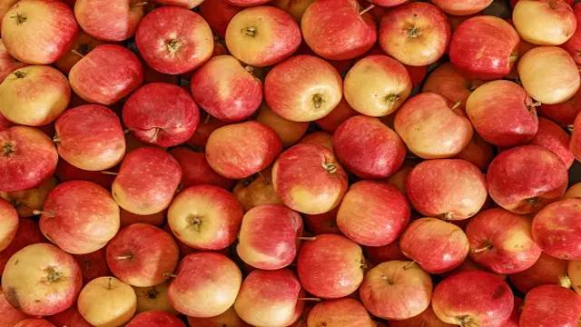Latest Updated Apple Mandi Price today in Mahendragarh, Haryana