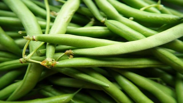 Latest Updated Beans Mandi Price today in Bobbili, Andhra Pradesh