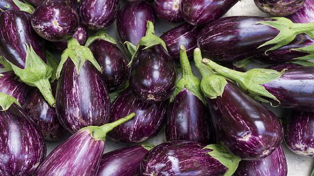 Latest Updated Brinjal Mandi Price today in Thoubal, Manipur