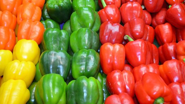 Latest Updated Capsicum Mandi Price today in Bapatla, Andhra Pradesh