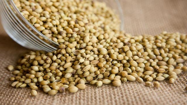 Latest Updated Coriander Mandi Price today in Visakhapatnam, Andhra Pradesh