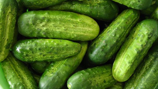 Cucumber Mandi Rate Today