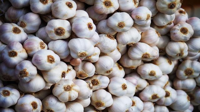 Garlic Mandi Rate Today