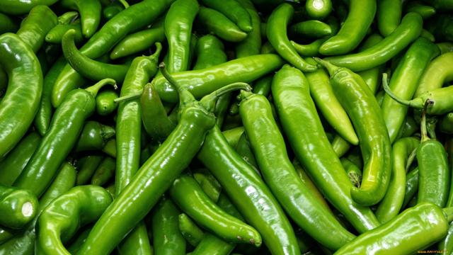 Latest Updated Green Chilli Mandi Price today in Deoghar, Jharkhand
