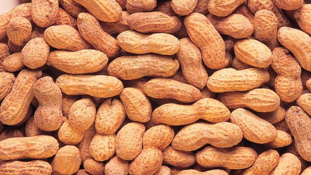 Latest Updated Peanut Mandi Price today in Adoni, Andhra Pradesh