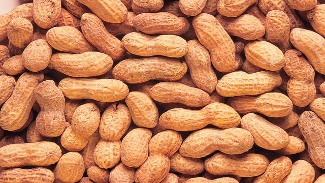 Latest Updated Peanut Mandi Price today in Amalapuram, Andhra Pradesh