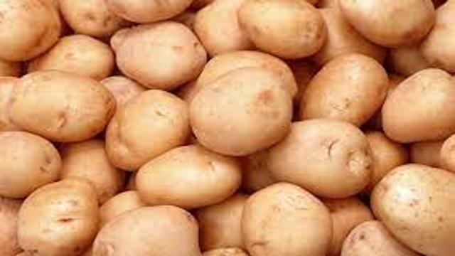 Potato Mandi Rate Today