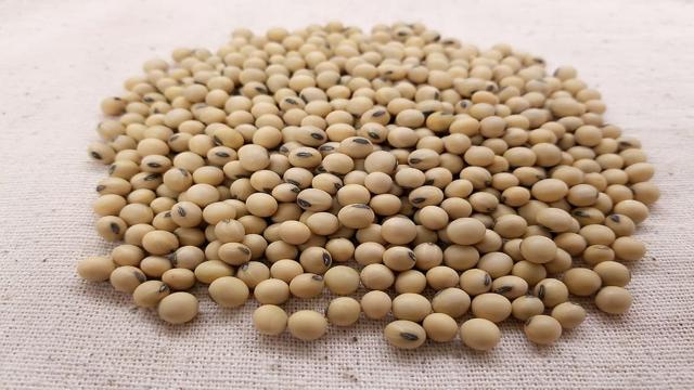 Latest Updated Soyabean Mandi Price today in Baramula, Jammu and Kashmir