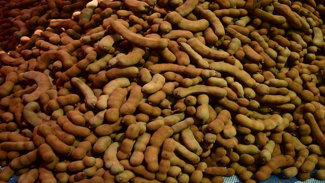 Latest Updated Tamarind Mandi Price today in Bheemunipatnam, Andhra Pradesh