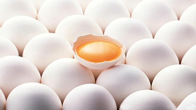 Egg Rate today in Pen, Maharashtra